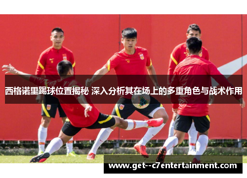 西格诺里踢球位置揭秘 深入分析其在场上的多重角色与战术作用