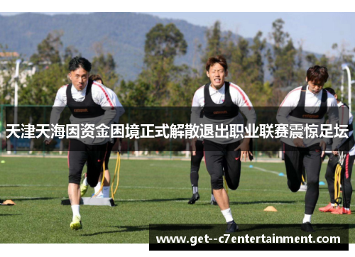 天津天海因资金困境正式解散退出职业联赛震惊足坛 天津天海因资金困境正式解散退出职业联赛震惊足坛